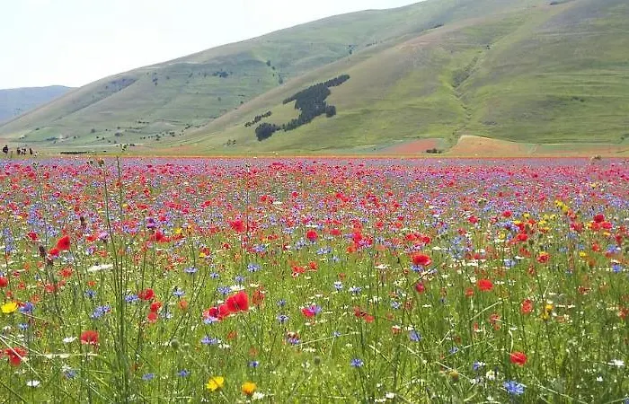 La Terrazza Di 3* Spello